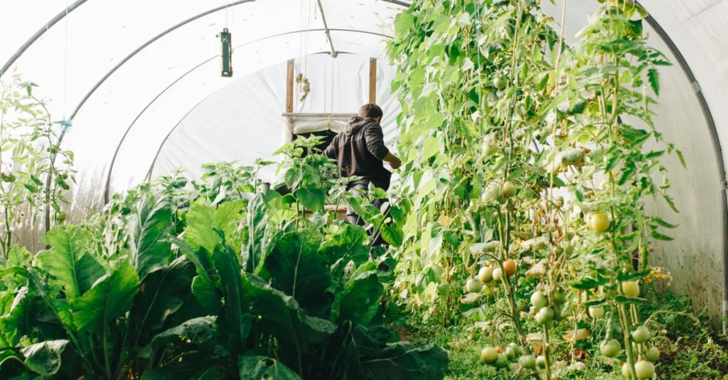 découvrez l'agriculture écologique innovante : des pratiques durables pour préserver l'environnement tout en augmentant la productivité agricole.