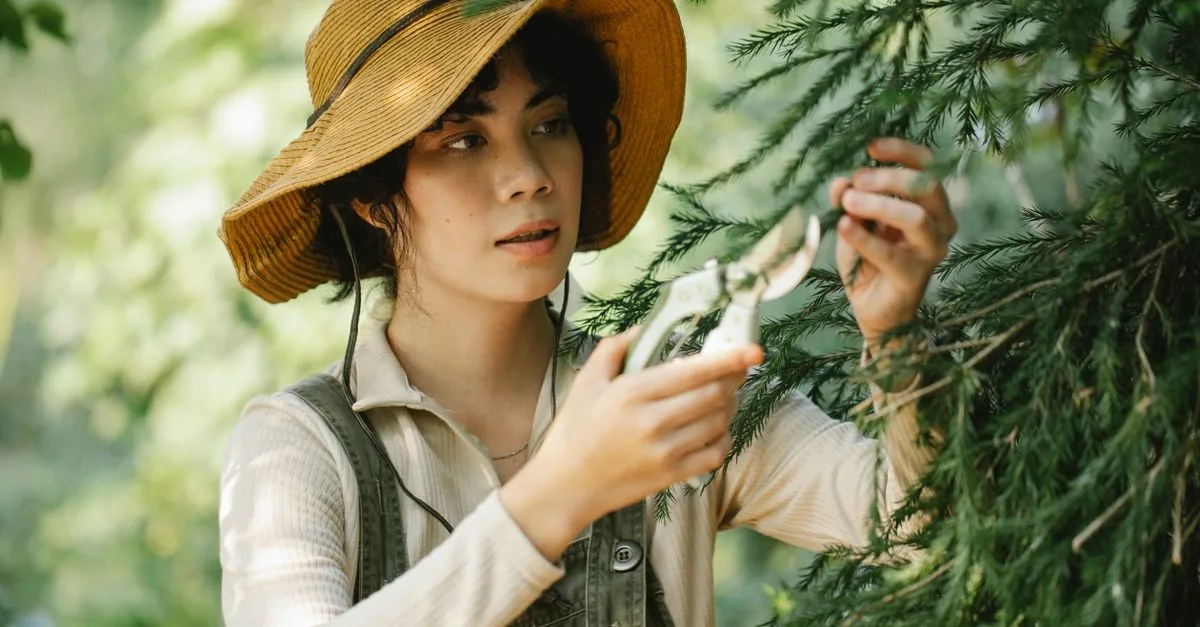 techniques et conseils pour l'élagage et la taille des arbres et arbustes afin d'assurer leur santé et leur croissance optimale.